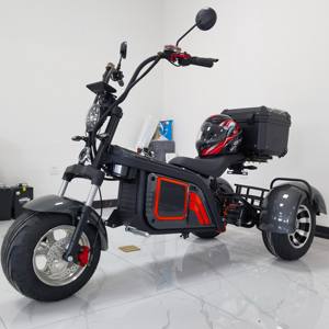 Tricycle électrique avec moteur De 60V, 45ah, 1000W, bicyclette à trois roues - Product Image 6