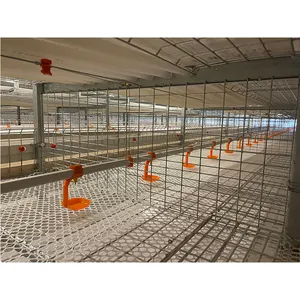2023 Broiler Farm Fully Automated Hot Dip Galvanized Steel H Type Multi Tiers Meat Chicken Cage Poultry House