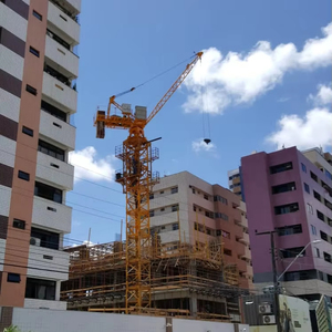 10t <span class=keywords><strong>QTD125</strong></span>-HS5020D <span class=keywords><strong>luffing</strong></span> cẩu tháp xây dựng cần cẩu xây dựng cần cẩu tháp - Product Image 1