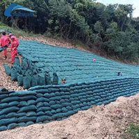 Sac géotextile en polyester durable, géotube pour la déshydratation des boues minières, la rétention des sédiments et la filtration