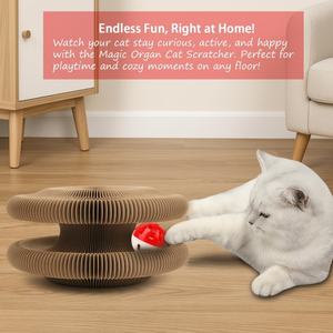 Arranhador de Gato Mágico Dobrável e Recarregável Moderno, Brinquedo Durável para Animais de Estimação com Sino - Product Image 5
