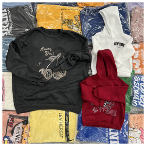 <b>Bulk</b> Items Wholesale Lots Autumn Winter Kids Clothes 2t to 6 Ropa De Bebe Thrift Clothes, Random Delivery Fashion Kids' Hoodie - Product Image 5