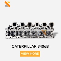Nouveau pour moteur diesel à culasse 3406B/3406C pour camion et excavatrice, garantie 18 mois, OEM 2239250
