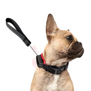 Venta caliente <span class=keywords><strong>Collar</strong></span> de perro correa retráctil ajustable perro <span class=keywords><strong>Collar</strong></span> correa para perros - Product Image 4