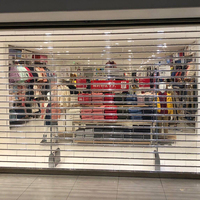 Porte de garage transparente enroulable en polycarbonate, à vue complète, robuste et transparente