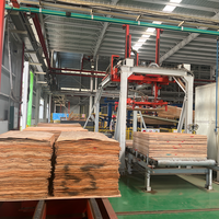 Panneau de contreplaqué Guangxi 4x8 le plus vendu sur Alibaba avec placage de bouleau, écologique et imperméable pour la cuisine et l'atelier