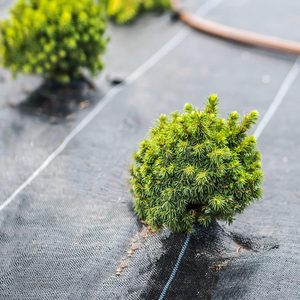 UV điều trị nhựa cảnh quan vải PP Chất liệu Weed kiểm soát Mat tùy chỉnh cắt vẽ - Product Image 2