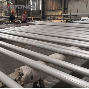 Xintong poste de iluminación de calle <span class=keywords><strong>Parise</strong></span>, precio bajo de personalización de la Aduana de China de fábrica Ip65 - Product Image 5