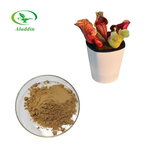 Sarracenia purpureaエキスプロの工場供給高品質で最高の価格 - Product Image 2