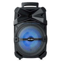 Portable 8 pouces sans fil rvb LED haut-parleur extérieur TWS Microphone batterie cc Source d'alimentation USB AUX karaoké parties en plastique