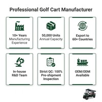 Carrito de Golf Eléctrico de 6 Plazas, Homologado para Circular por la Calle, con Motor de CA de 4.0kW, Batería de Litio de 72V 120ah, para Campos de Golf