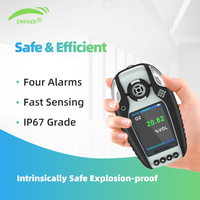 Testeur de gaz combustible numérique Wi-Fi rechargeable OEM ODM CH4 C3H8 C2H4 C3H6, étanche à la poussière et à l'eau IP67, pour la détection de LEL et EX