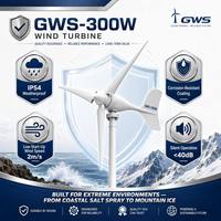 Éolienne horizontale GWS-300W 300W, efficacité élevée de 44 %, PMSG, démarrage à 2 m/s, durée de vie de 20 ans, pour maison hors réseau
