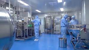 Kapsul akar bit organik kapsul akar bit suplemen ekstrak akar bit grosir suplemen makanan - Product Image 5