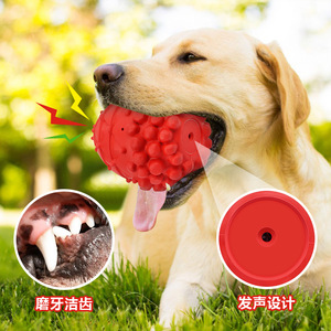 Z hierde Pinecone Squeaking <b>Dog</b> Toy <b>Ball</b> Rubber Durable Teething Pet Sound Training Toy For <b>Dogs</b> - Product Image 3