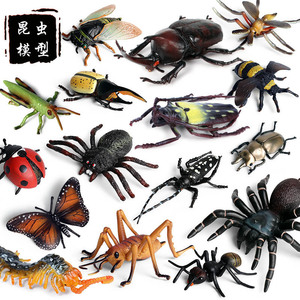 Modelos de Insectos Realistas para Niños, Abeja, Araña, Libélula, Mariposa, Centipeda, Caballito de Campo, Hormiga, Mantis, Decoración Educativa para Escritorio - Product Image 3