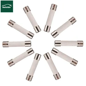 Fusibles en céramique à soufflage lent 250V 6x30mm 30A 250V 100mA-30 amp 0.24x1.18 pouces Fusibles à retardement en tube céramique