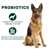 Complément alimentaire naturel pour la santé digestive et immunitaire des chiens de tous âges, nutrition pour animaux de compagnie, poudre probiotique