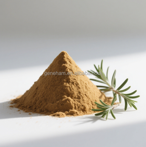 Precio directo de fábrica 60% ácido carnósico extracto de hoja de Romero de grado alimenticio polvo solvente extraído en tambor Extracto de planta de envasado - Product Image 2