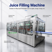 Ligne de production clé en main M062 pour l'embouteillage, le capsulage et l'emballage volumétrique de jus de fruits frais en bouteilles PET pour la chaîne du froid