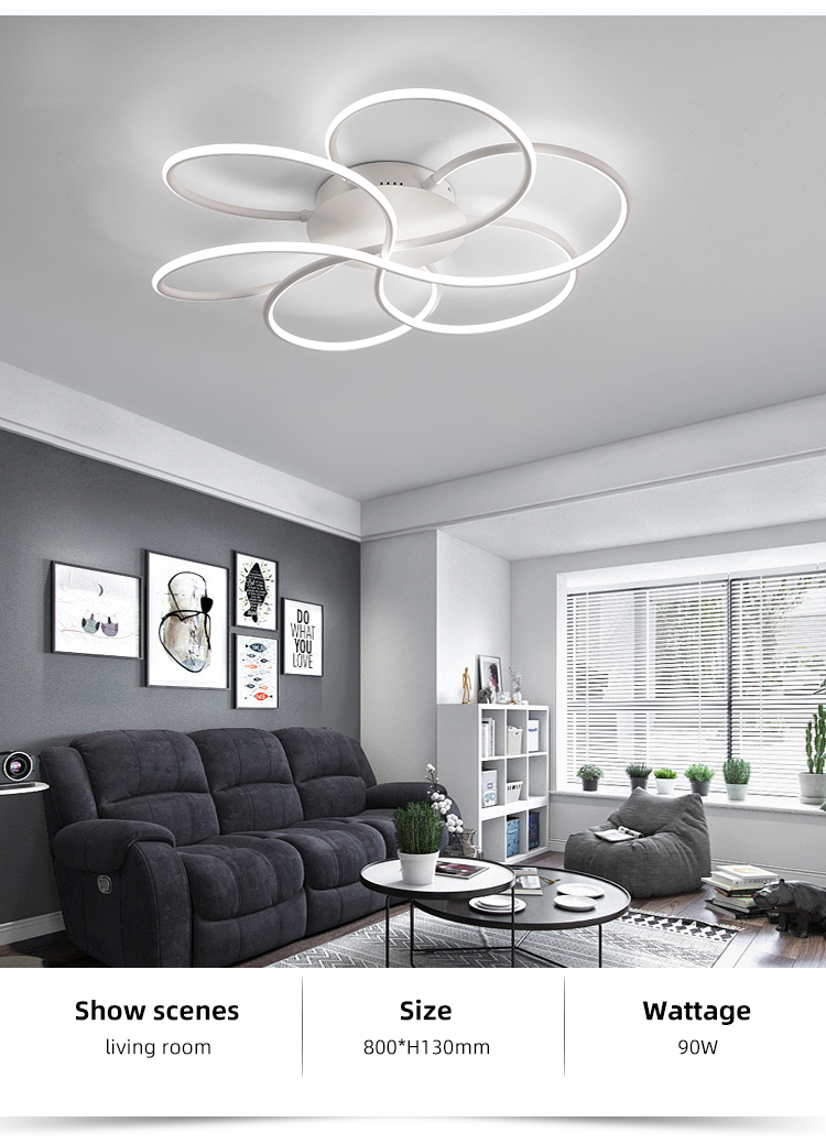 Fashion European Black White Dining Room Ceiling Flush Mount Bedroom Modern Led Ceilign Lamp