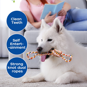 Ensemble de jouets pour chien en corde de coton tressée résistante aux morsures, jouet interactif d'entraînement pour animaux de compagnie en plein air - Product Image 3