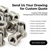 Custom Manufacturing Stainless Steel Flange Thread Insert / Flange Insert Nut Made in China