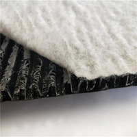 Vente directe du fabricant, panneau de drainage en géocomposite en plastique HDPE de haute qualité en forme de W avec garantie de 5 ans pour une utilisation en jardin