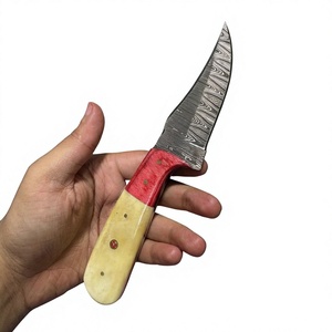 Couteaux Rajput à lame fixe en acier Damas, 20 cm, manche en bois Pakka, pour le camping et la survie - Product Image 5