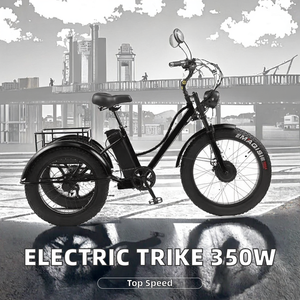 <span class=keywords><strong>Triciclo</strong></span> Eléctrico <span class=keywords><strong>de</strong></span> Alta Calidad 48V 350W para Adultos, Mini Coche Motorizado, Calidad Garantizada, Venta Directa <span class=keywords><strong>de</strong></span> Fabricante Chino - Product Image 3
