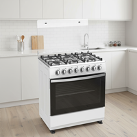 Kompor Oven Gas & Listrik Dual-Fuel Tahan Lama dengan Grill Stainless Steel untuk Memasak dan Memanggang Komersial di Luar Ruangan