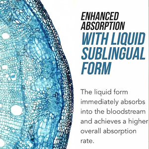 L-Metilfolato Orgánico USDA de Marca Privada, Gotas Líquidas de 5-MTHF con Metil <span class=keywords><strong>B12</strong></span>, 1 mg de Forma Activa, OEM/ODM - Product Image 3