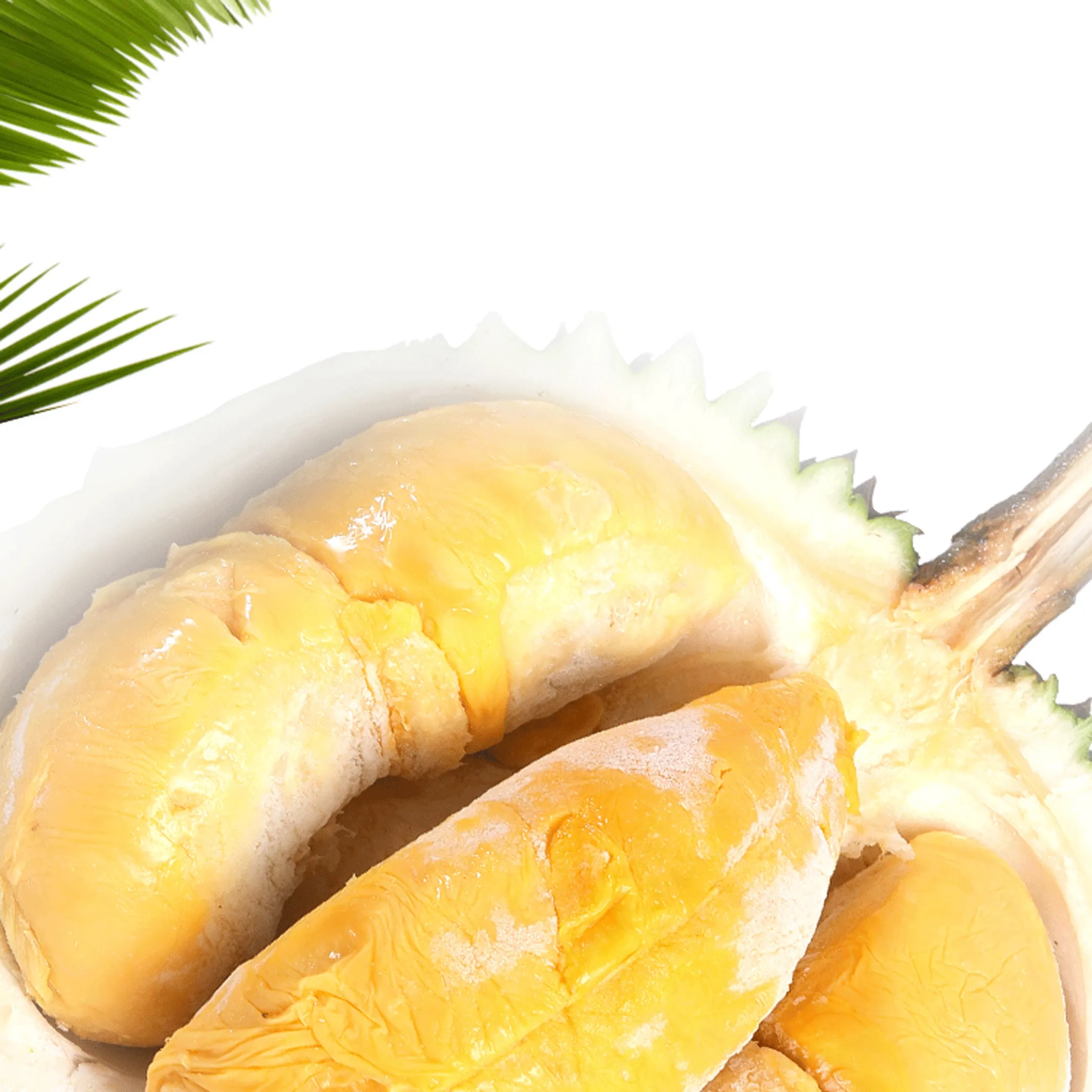 Entier Rond Musang King Gmp Certifié Durian Malaisie Durian Congelé Au Meilleur Prix
