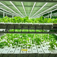 Serre intelligente en conteneur de 40 pieds, système d'agriculture complet, tour hydroponique verticale pour la culture de champignons, de fraises et de choux