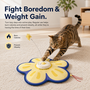 Smart Interactive Cat Toy Motion Activated Automatic Hide and Seek Peekaboo Feather Game USB Rechargeable Pet Supplies - Product Image 3