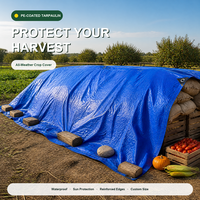 Bâche en PE/PVC enduit, robuste, imperméable, résistante aux UV, pour couverture de serres agricoles, sur mesure