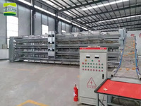 Cage à volailles de type H en fil galvanisé pour le ramassage automatique des œufs et des poules Poulailler Cage à batterie Mangeoire automatique