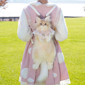 Mochila de Felpa con Diseño de <span class=keywords><strong>Gato</strong></span> Maine Coon, Linda Bolsa de Hombro de Peluche, Juguete de Peluche, Regalo de Cumpleaños - Product Image 5