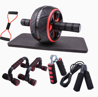 Roue abdominale de fitness en gros avec tapis de genoux pour l'entraînement des abdominaux, équipement de gym à domicile, logo personnalisé OEM pour hommes