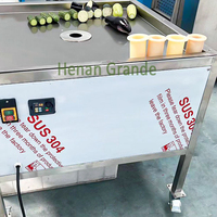 Fruit- en groentesnijmachine voor citroenen, ananas, tomaten en sinaasappels