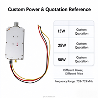 Module amplificateur de puissance RF GUORESOUN 703-733 MHz personnalisable 13W 25W 50W, gain 48 dB, 50 Ohm, amplificateur de signal d'impulsion CW