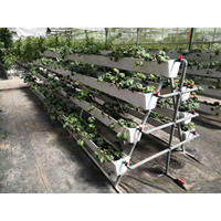 Système de culture hydroponique en serre NFT, système de culture vertical en PVC pour fraises, système de culture de légumes pour serre hydroponique