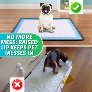Support pour tapis de propreté pour chiens, en silicone, avec rebord surélevé anti-déversement et antidérapant, pour l'apprentissage de la propreté des chiots - Product Image 2