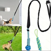 Jouet interactif pour chien à suspendre Bungee BSCI, corde de tirage, jeu de mâcher, entraînement au saut, jeu en extérieur, plastique et nylon