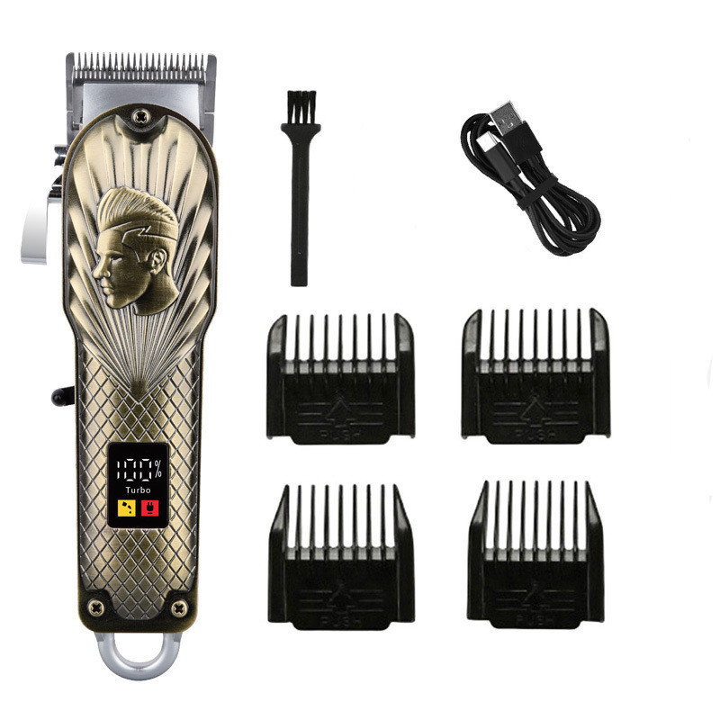 Modèle en bronze 34