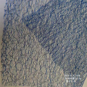 100% <span class=keywords><strong>polyester</strong></span> hiện đại nhện lưới vải sheer trắng in <span class=keywords><strong>net</strong></span> cho hàng may mặc chống tĩnh không dệt cho cô gái - Product Image 4