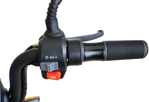 Skuter Listrik dengan Pedal Assist dan Throttle, Bersertifikasi <span class=keywords><strong>CE</strong></span> <span class=keywords><strong>EEC</strong></span>, 48v 350w, EU, Kecepatan 25 km/jam, PAS - Product Image 5