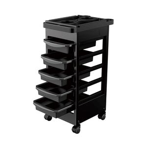 Carrello da Parrucchiere Moderno a Cinque Livelli con Ciotola per Tintura e Supporto per Asciugacapelli, Carrello Mobile per Salone di Bellezza con Rotazione a 360 Gradi - Product Image 1