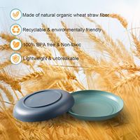 Assiette en mélamine réutilisable sans BPA, résistante aux chutes, compatible micro-ondes et lave-vaisselle, jetable pour la rentrée scolaire