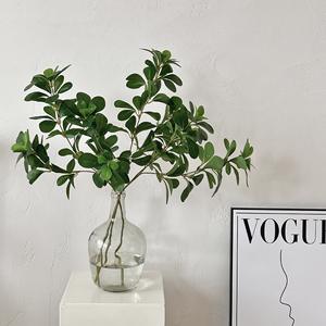 Planta Artificial de <span class=keywords><strong>Polyscias</strong></span> <span class=keywords><strong>Fabian</strong></span>, Decoración Estilo Bosque, Accesorio para Fotos, Simulación de Planta Verde, Flor Artificial para Bodas, Hogar, Hotel, Paisajismo - Product Image 2